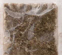 Intratuin Kratzkarton Sofa 50 x 20 x 10 cm| Kratzbäume & -Möbel