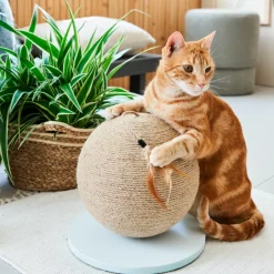 Intratuin Kratzkugel braun/weiß D 25 H 30 cm| Kratzbäume & -Möbel