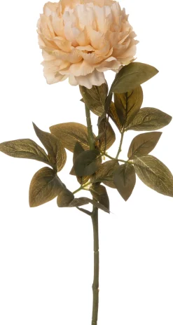 Intratuin Kunstblume Pfingstrose 68 cm geel| Kunstblumen