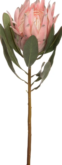 Intratuin Kunstblume Protea rosa 63 cm| Kunstblumen