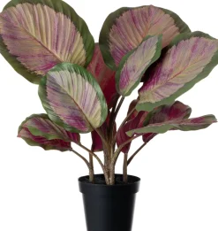 Intratuin Kunstpflanze Calathea 44 x 38 x 45 cm| Kunstpflanzen