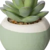 Intratuin Kunstpflanze Echiverie D 6 cm H 7 cm| Kunstpflanzen