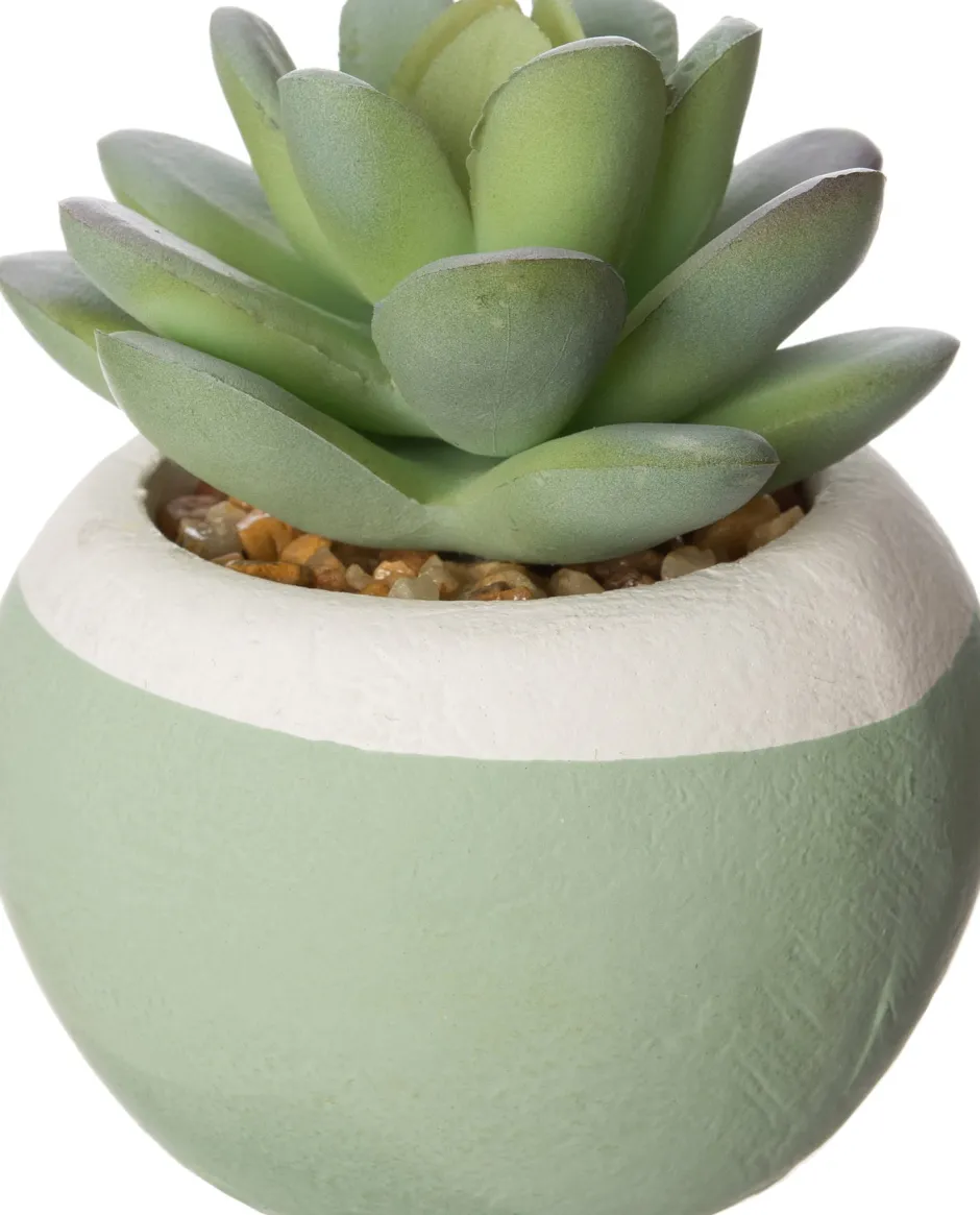 Intratuin Kunstpflanze Echiverie D 6 cm H 7 cm| Kunstpflanzen