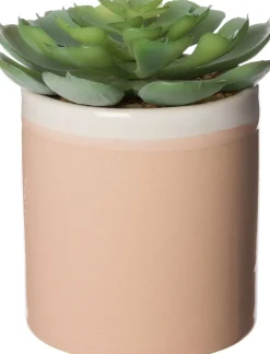 Intratuin Kunstpflanze Echiverie D 6 cm H 8 cm| Kunstpflanzen