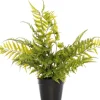 Intratuin Kunstpflanze Farn D 14 cm H 56 cm| Kunstpflanzen