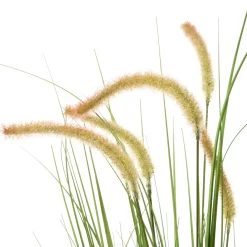 Intratuin Kunstpflanze Lampenputzergras D 32 cm H 60 cm| Kunstpflanzen