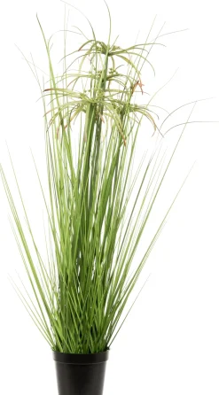 Intratuin Kunstpflanze Papyrus D 52 cm H 80 cm| Kunstpflanzen