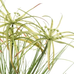 Intratuin Kunstpflanze Papyrus D 52 cm H 80 cm| Kunstpflanzen