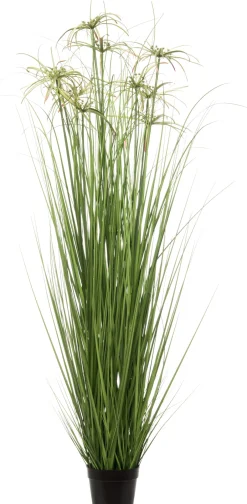 Intratuin Kunstpflanze Papyrus D 50 cm H 110 cm| Kunstpflanzen