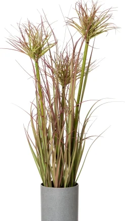 Intratuin Kunstpflanze Papyrus D 25 H 65 cm| Kunstpflanzen