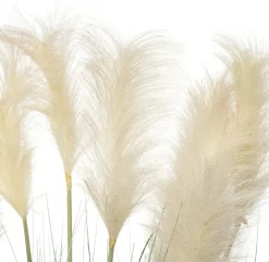 Intratuin Kunstpflanze Pampasgras D 55 cm H 80 cm| Kunstpflanzen
