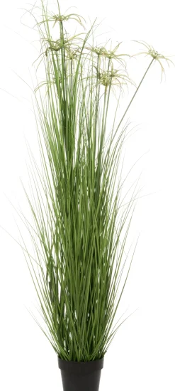 Intratuin Kunstpflanze Papyrus D 64 cm H 160 cm| Kunstpflanzen