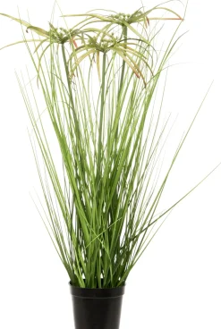 Intratuin Kunstpflanze Papyrus D 40 cm H 60 cm| Kunstpflanzen