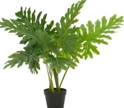 Intratuin Kunstpflanze Philodendron 'Xanadu' H 80 cm| Kunstpflanzen