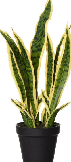 Intratuin Kunstpflanze Sansevieria gelb-bunt D 13 H 48 cm| Kunstpflanzen