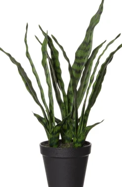 Intratuin Kunstpflanze Sansevieria D 15 H 61 cm| Kunstpflanzen