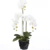 Intratuin Kunstpflanze Schmetteringsorchidee weiß 36 x 28 x 85 cm| Kunstpflanzen