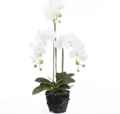 Intratuin Kunstpflanze Schmetteringsorchidee weiß 36 x 28 x 85 cm| Kunstpflanzen