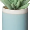 Intratuin Kunstpflanze Sedum D 6 cm H 9 cm| Kunstpflanzen