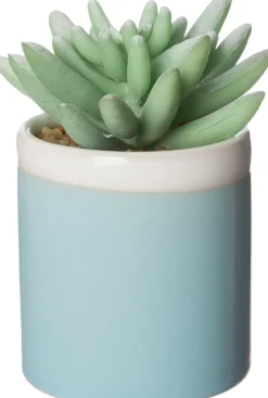 Intratuin Kunstpflanze Sedum D 6 cm H 9 cm| Kunstpflanzen