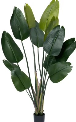 Intratuin Kunstpflanze Strelitzie grün D 80 H 180 cm| Kunstpflanzen
