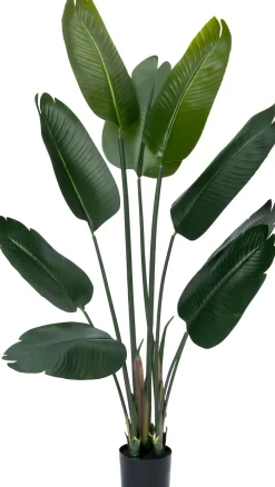 Intratuin Kunstpflanze Strelitzie grün D 80 H 140 cm| Kunstpflanzen