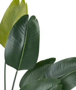 Intratuin Kunstpflanze Strelitzie grün D 80 H 140 cm| Kunstpflanzen