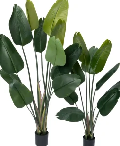 Intratuin Kunstpflanze Strelitzie grün D 80 H 140 cm| Kunstpflanzen