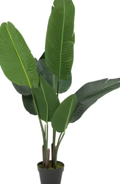 Intratuin Kunstpflanze Strelitzie H 120 cm| Kunstpflanzen