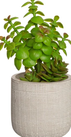 Intratuin Kunstpflanze Sukkulente grau D 9,5 cm H 23 cm| Kunstpflanzen