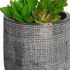 Intratuin Kunstpflanze Sukkulente grau D 9,5 cm H 16 cm| Kunstpflanzen