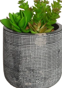 Intratuin Kunstpflanze Sukkulente grau D 9,5 cm H 16 cm| Kunstpflanzen