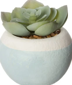 Intratuin Kunstpflanze Sukkulente D 6 cm H 9 cm| Kunstpflanzen