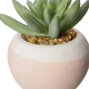 Intratuin Kunstpflanze Sukkulente D 6 cm H 6 cm| Kunstpflanzen