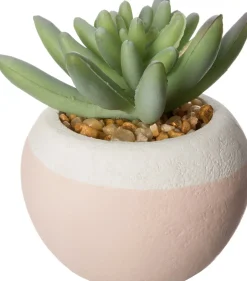 Intratuin Kunstpflanze Sukkulente D 6 cm H 6 cm| Kunstpflanzen