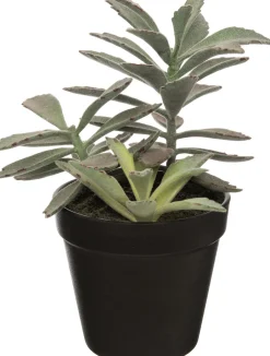 Intratuin Kunstpflanze Sukkulente grün 23 cm| Kunstpflanzen