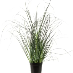 Intratuin Kunstpflanze Ziergras D 17 cm H 32 cm| Kunstpflanzen