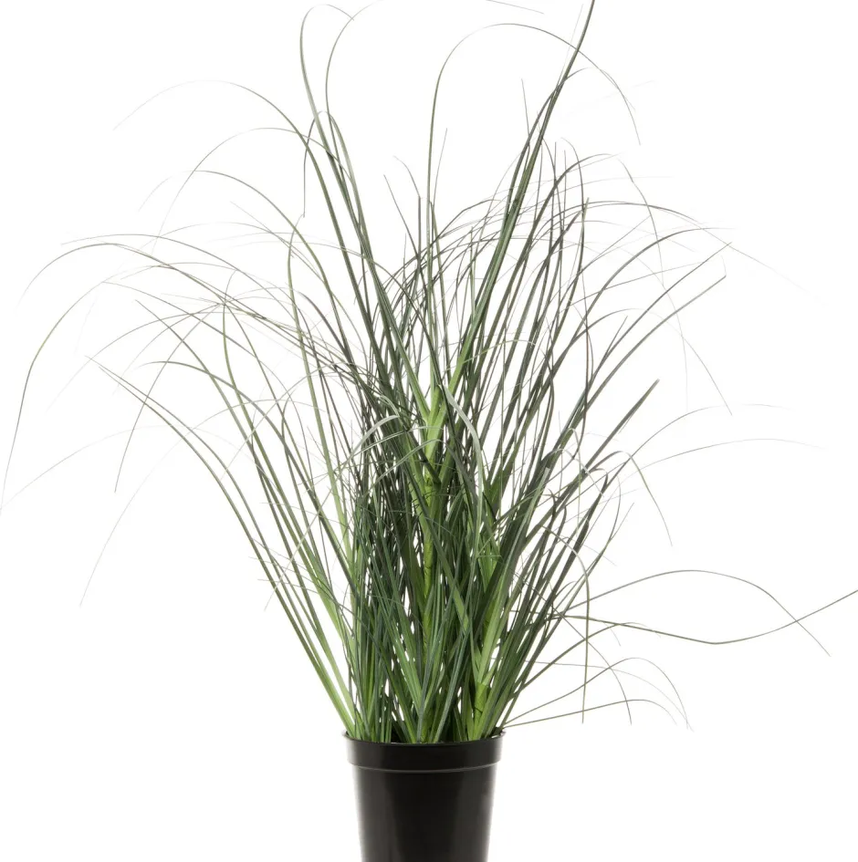 Intratuin Kunstpflanze Ziergras D 17 cm H 32 cm| Kunstpflanzen