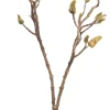 Intratuin Kunstzweig Magnolie mit Knospen H 87 cm| Künstliche Deko-Zweige