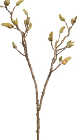 Intratuin Kunstzweig Magnolie mit Knospen H 87 cm| Künstliche Deko-Zweige