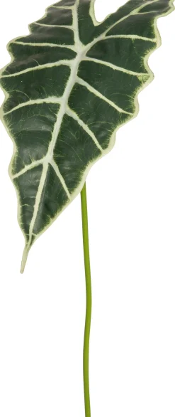 Intratuin Kunstzweig Pfeilblatt 92 cm| Künstliche Deko-Zweige