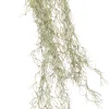 Intratuin Kunstzweig Tillandsie H 74 cm| Künstliche Deko-Zweige