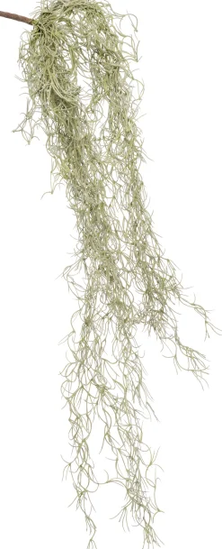 Intratuin Kunstzweig Tillandsie H 74 cm| Künstliche Deko-Zweige
