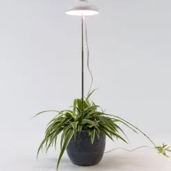 Intratuin LED Pflanzenlampe weiß D 11 H 22 cm| Pflanzenlampen