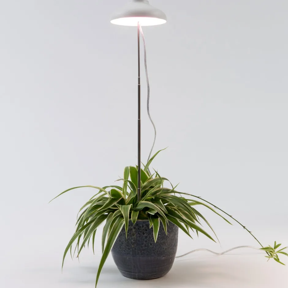 Intratuin LED Pflanzenlampe weiß D 11 H 22 cm| Pflanzenlampen