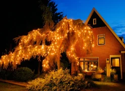 Intratuin Lichterkette Connect de Luxe mit 100 LEDs 10 m classic weiß| Weihnachtsbaumbeleuchtung