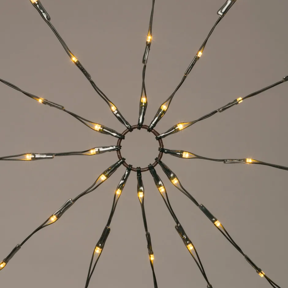 Intratuin Lichternetz für Buxus mit 120 LEDs warmweiß D 120 cm| Lichternetze