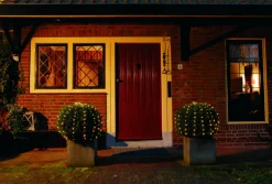 Intratuin Lichternetz für Buxus mit 100 LEDs warmweiß D 90 cm| Lichternetze