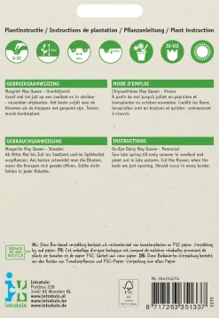 Intratuin Margerite (Chrystanthemum 'May Queen') Blumensamen| Saatgut|Blühende Pflanzen