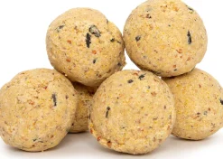 Intratuin Meisenknödel ohne Netz 6 St.| Vogelfutter|Gartenvögel